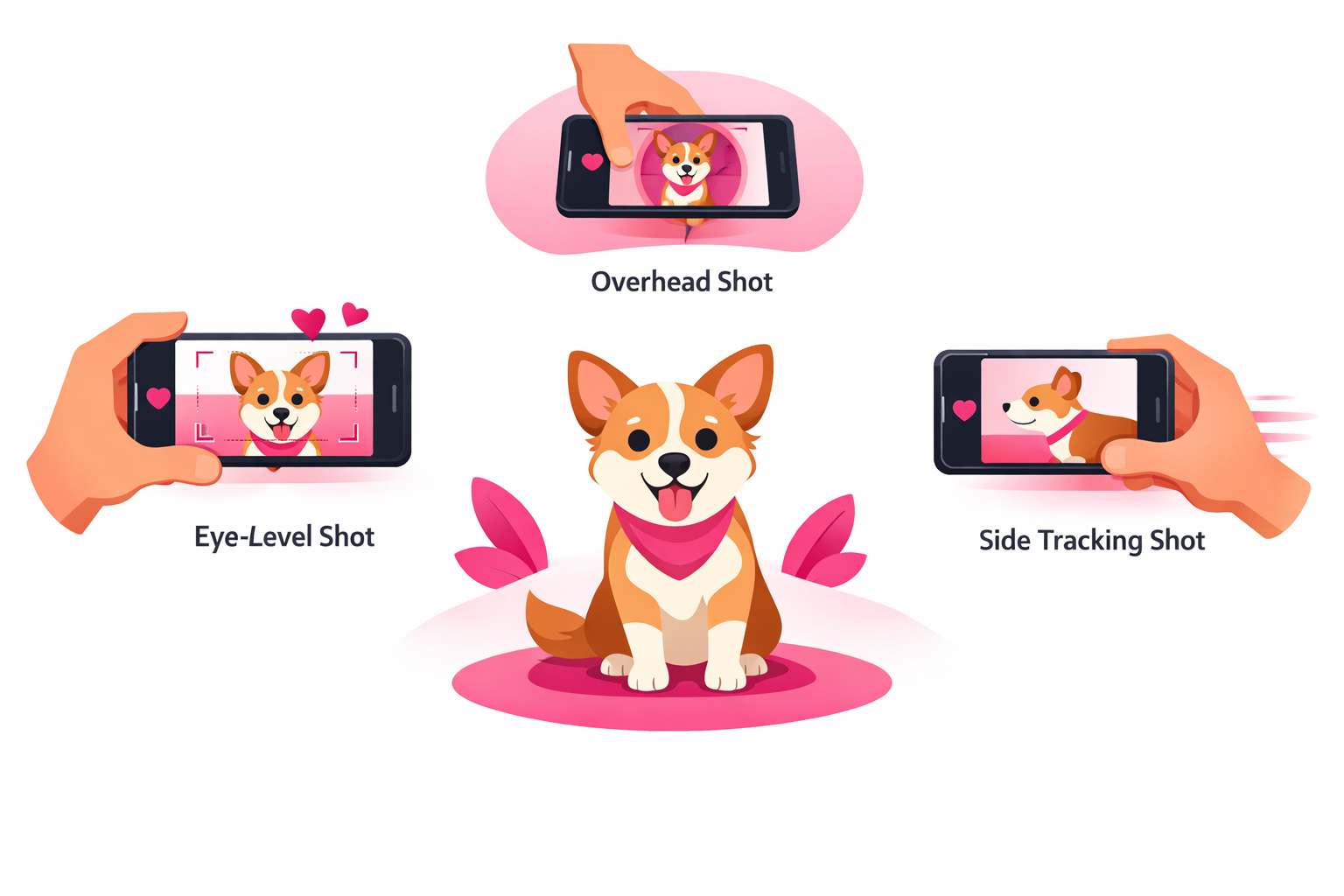Three smartphone camera angles for pet filming: eye-level shot, overhead shot, and side tracking shot with a small dog posing in the center